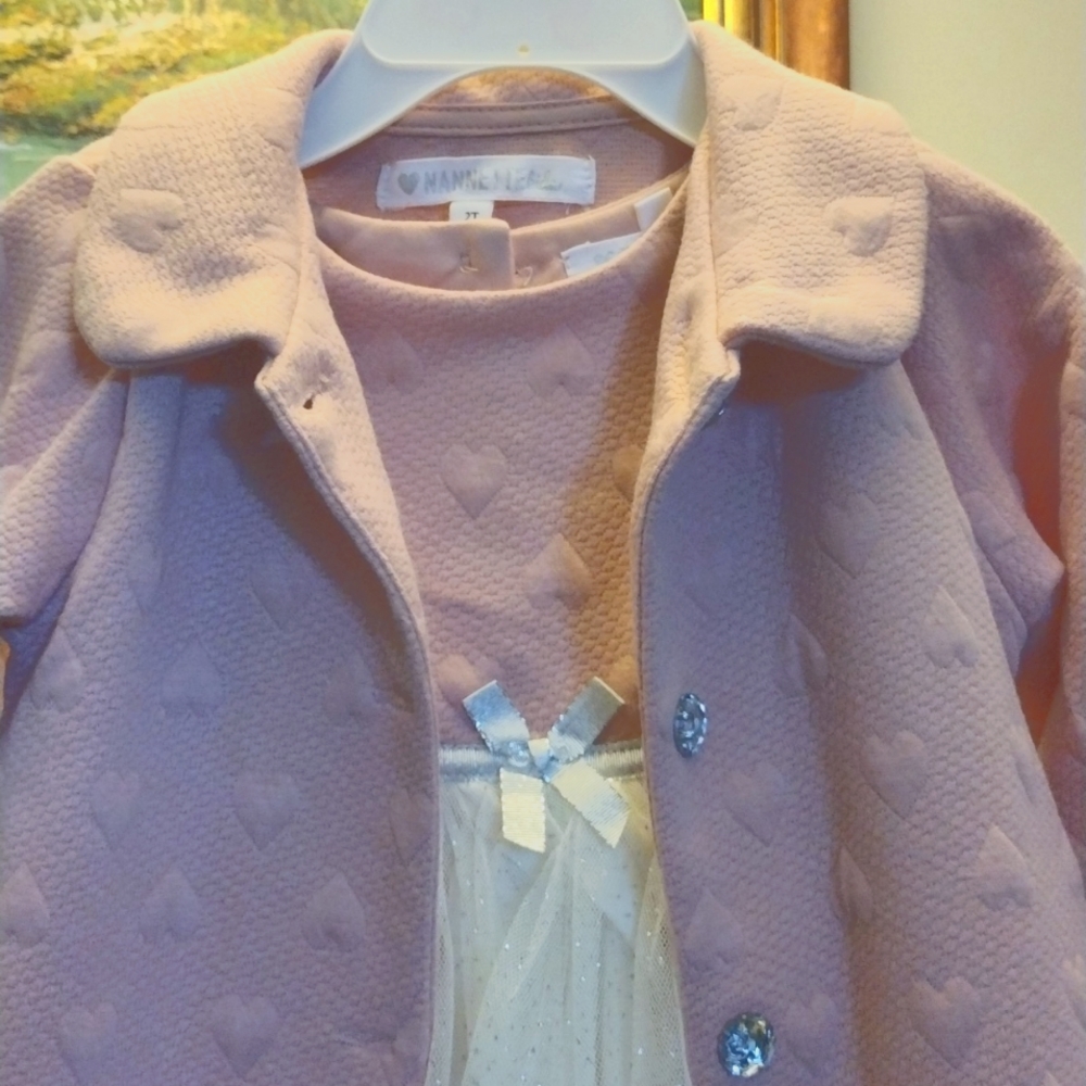Nannette Bids Toddler Dress/Jacket
